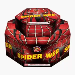 Spider Web