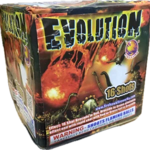 Evolution