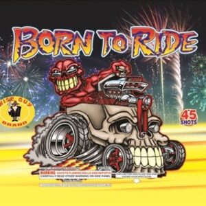 Born To Ride