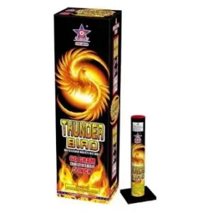Thunder Bird